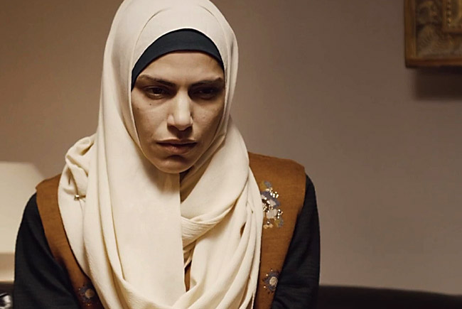 Shadi Hedayati Bild_7